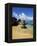 Surf on Beach-Bill Ross-Framed Premier Image Canvas