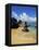 Surf on Beach-Bill Ross-Framed Premier Image Canvas