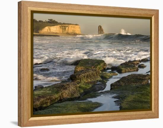 Surf on Four-Mile Beach, Santa Cruz Coast, California, USA-Tom Norring-Framed Premier Image Canvas