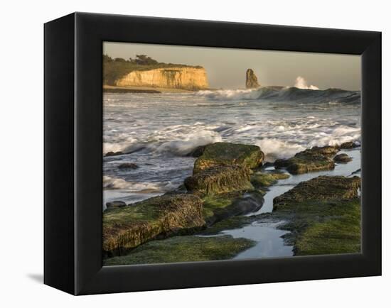 Surf on Four-Mile Beach, Santa Cruz Coast, California, USA-Tom Norring-Framed Premier Image Canvas