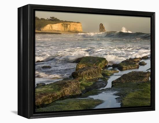 Surf on Four-Mile Beach, Santa Cruz Coast, California, USA-Tom Norring-Framed Premier Image Canvas