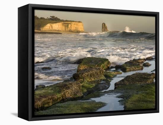 Surf on Four-Mile Beach, Santa Cruz Coast, California, USA-Tom Norring-Framed Premier Image Canvas