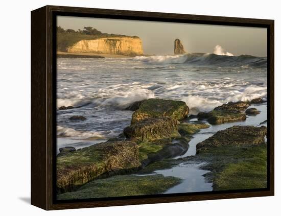 Surf on Four-Mile Beach, Santa Cruz Coast, California, USA-Tom Norring-Framed Premier Image Canvas