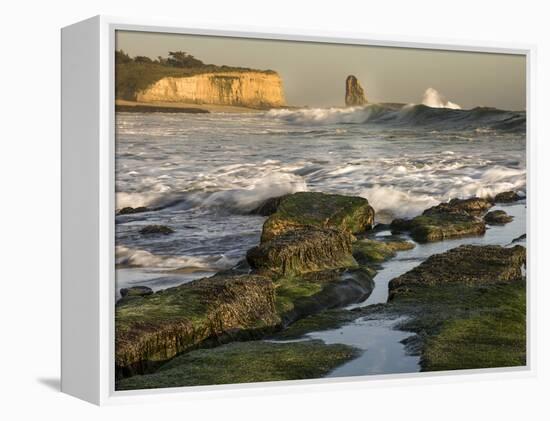 Surf on Four-Mile Beach, Santa Cruz Coast, California, USA-Tom Norring-Framed Premier Image Canvas