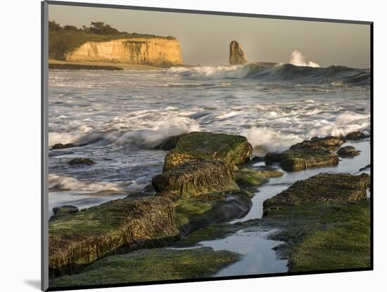 Surf on Four-Mile Beach, Santa Cruz Coast, California, USA-Tom Norring-Mounted Photographic Print