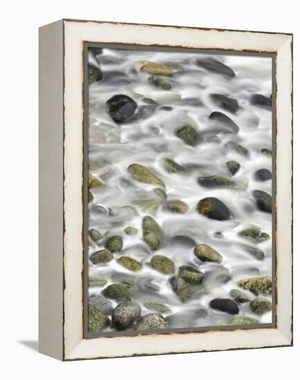 Surf on Stone Beach, Point Lobos State Reserve, California, Usa-Paul Colangelo-Framed Premier Image Canvas