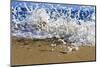 Surf on the Beach, Oahu, Hawaii, Usa-null-Mounted Photographic Print