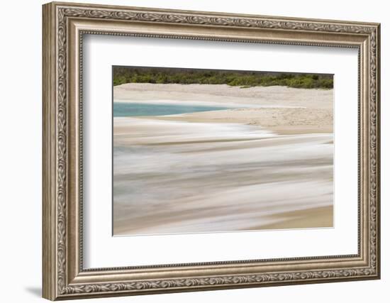 Surf pattern washing up on white sandy beach, Espanola Island, Galapagos Islands, Ecuador.-Adam Jones-Framed Photographic Print