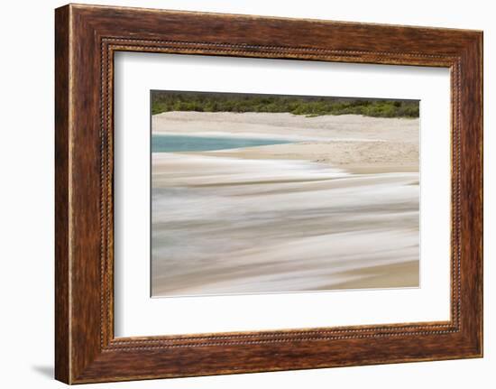 Surf pattern washing up on white sandy beach, Espanola Island, Galapagos Islands, Ecuador.-Adam Jones-Framed Photographic Print