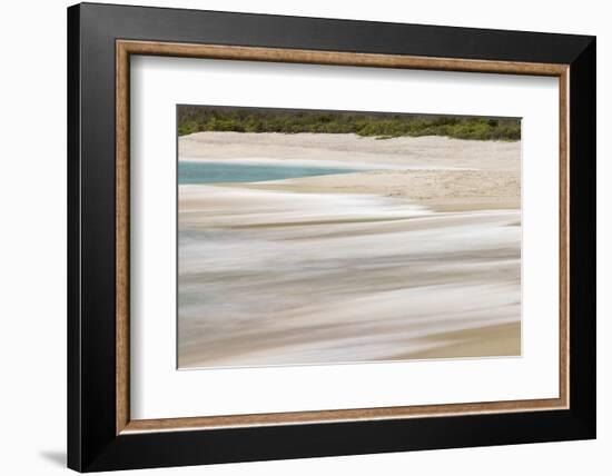 Surf pattern washing up on white sandy beach, Espanola Island, Galapagos Islands, Ecuador.-Adam Jones-Framed Photographic Print