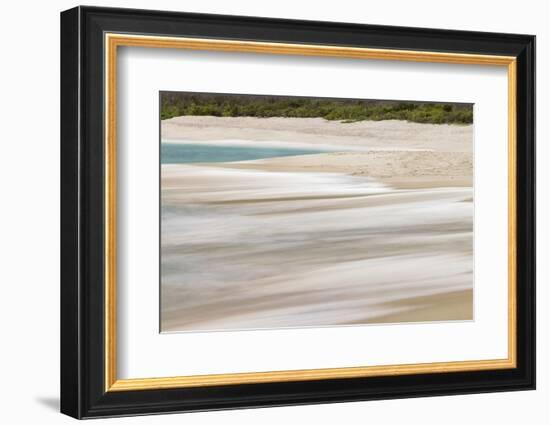 Surf pattern washing up on white sandy beach, Espanola Island, Galapagos Islands, Ecuador.-Adam Jones-Framed Photographic Print