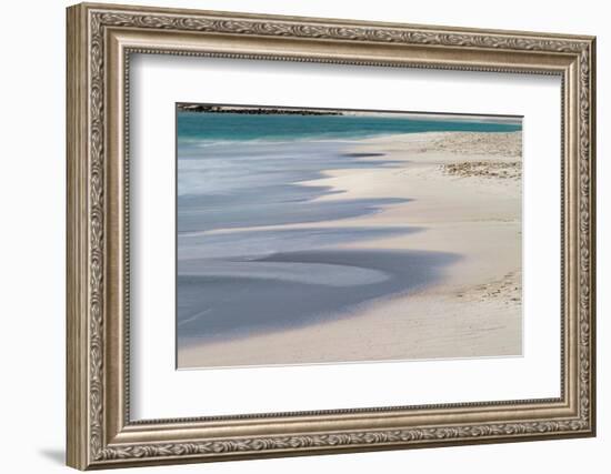 Surf pattern washing up on white sandy beach, Espanola Island, Galapagos Islands, Ecuador.-Adam Jones-Framed Photographic Print