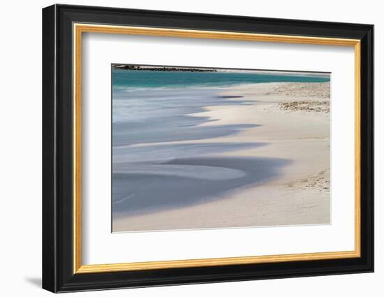 Surf pattern washing up on white sandy beach, Espanola Island, Galapagos Islands, Ecuador.-Adam Jones-Framed Photographic Print