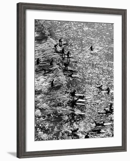 Surf Riders Surfing-Allan Grant-Framed Photographic Print