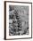 Surf Riders Surfing-Allan Grant-Framed Photographic Print