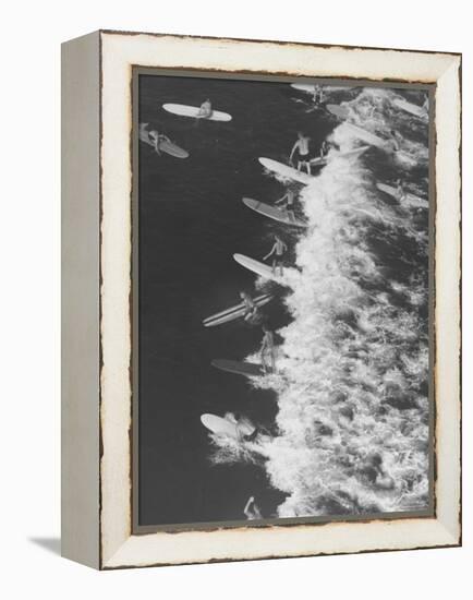 Surf Riders Surfing-Allan Grant-Framed Premier Image Canvas