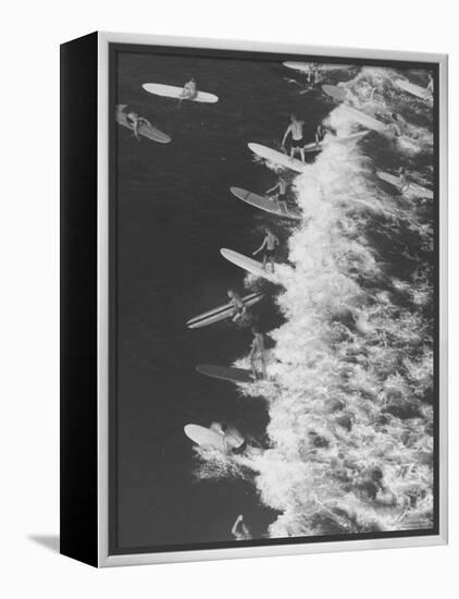 Surf Riders Surfing-Allan Grant-Framed Premier Image Canvas