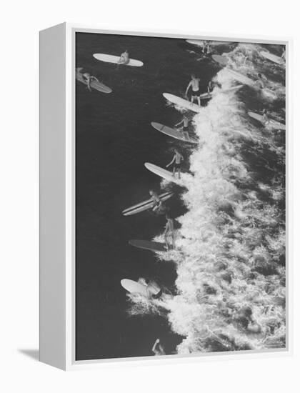 Surf Riders Surfing-Allan Grant-Framed Premier Image Canvas
