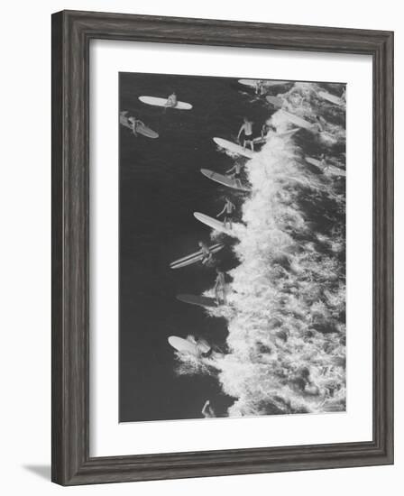 Surf Riders Surfing-Allan Grant-Framed Photographic Print