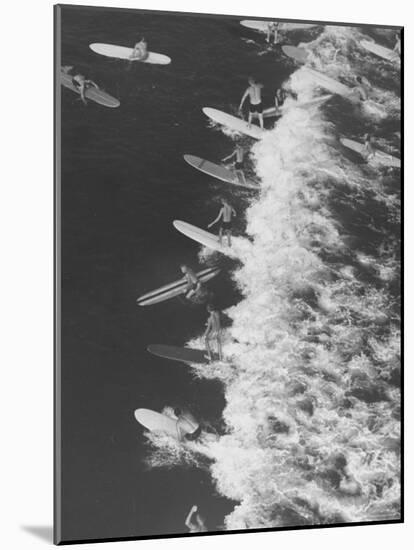 Surf Riders Surfing-Allan Grant-Mounted Photographic Print
