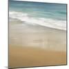 Surf & Sand I-John Seba-Mounted Art Print