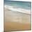 Surf & Sand I-John Seba-Mounted Art Print