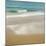 Surf & Sand II-John Seba-Mounted Art Print