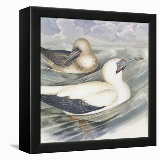 Surf & Sand III-Steve Hunziker-Framed Stretched Canvas