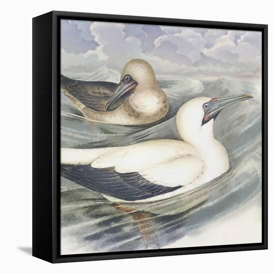 Surf & Sand III-Steve Hunziker-Framed Stretched Canvas