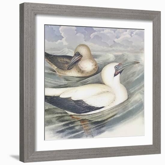 Surf & Sand III-Steve Hunziker-Framed Art Print