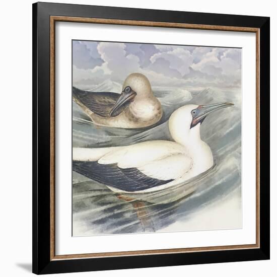 Surf & Sand III-Steve Hunziker-Framed Art Print