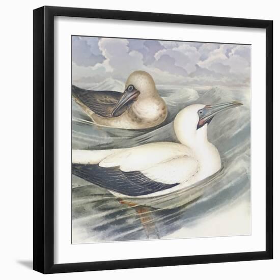 Surf & Sand III-Steve Hunziker-Framed Art Print