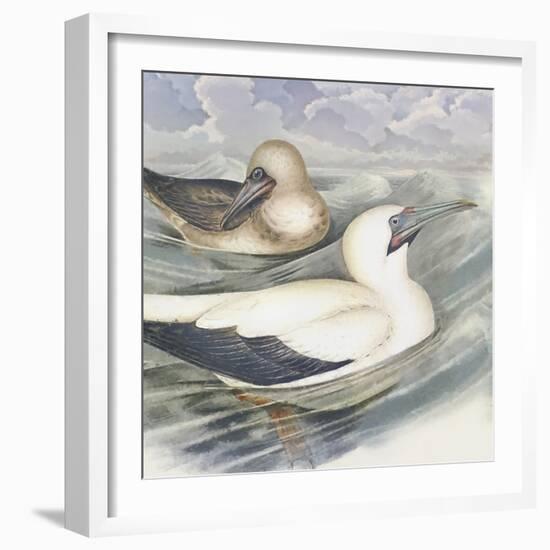 Surf & Sand III-Steve Hunziker-Framed Art Print