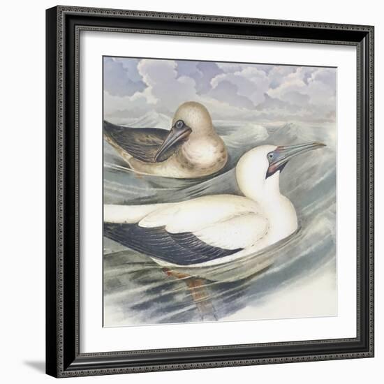 Surf & Sand III-Steve Hunziker-Framed Art Print