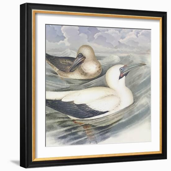 Surf & Sand III-Steve Hunziker-Framed Art Print