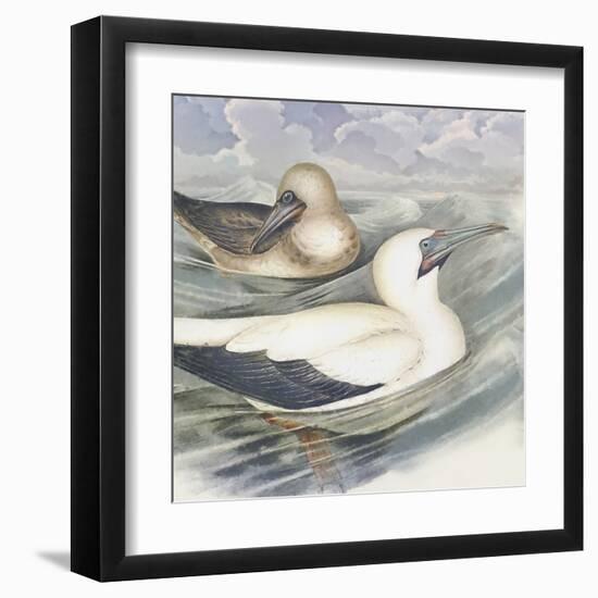 Surf & Sand III-Steve Hunziker-Framed Art Print