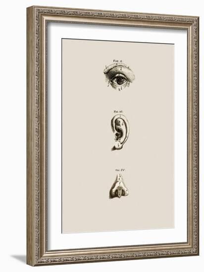 Surface Anatomy of the Eye, Ear And Nose-Mehau Kulyk-Framed Photographic Print