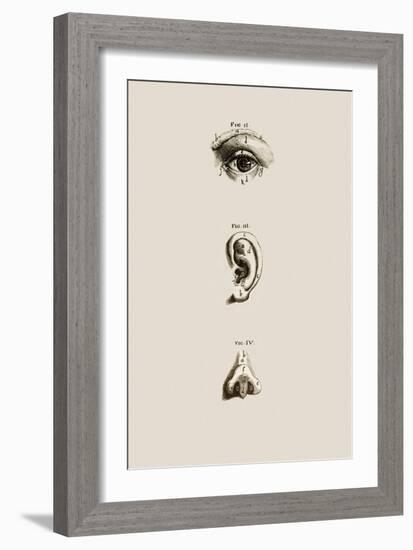 Surface Anatomy of the Eye, Ear And Nose-Mehau Kulyk-Framed Photographic Print