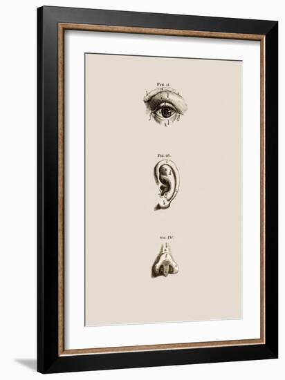 Surface Anatomy of the Eye, Ear And Nose-Mehau Kulyk-Framed Photographic Print