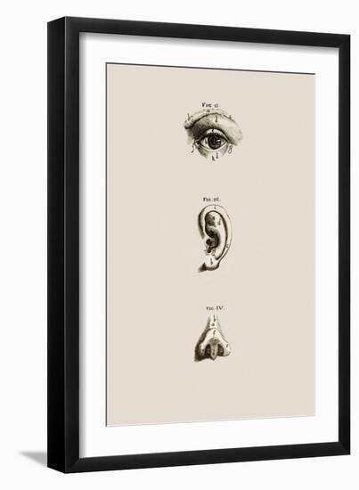 Surface Anatomy of the Eye, Ear And Nose-Mehau Kulyk-Framed Photographic Print
