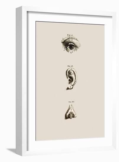 Surface Anatomy of the Eye, Ear And Nose-Mehau Kulyk-Framed Photographic Print