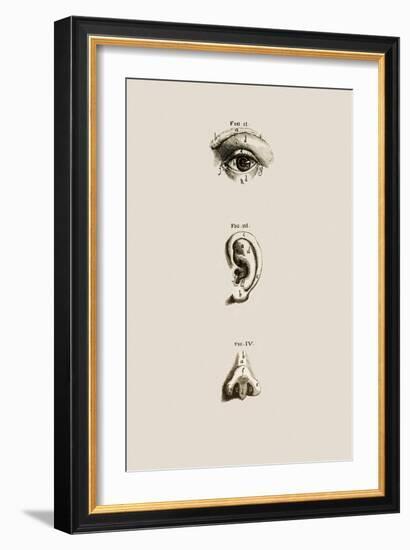 Surface Anatomy of the Eye, Ear And Nose-Mehau Kulyk-Framed Photographic Print