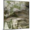 Surface in Green II-Sisa Jasper-Mounted Art Print