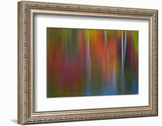 Surface of the water-Mallorie Ostrowitz-Framed Photographic Print