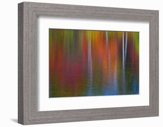 Surface of the water-Mallorie Ostrowitz-Framed Photographic Print