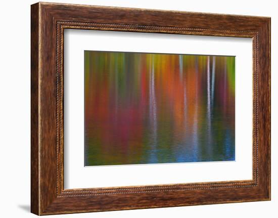 Surface of the water-Mallorie Ostrowitz-Framed Photographic Print