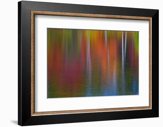 Surface of the water-Mallorie Ostrowitz-Framed Photographic Print