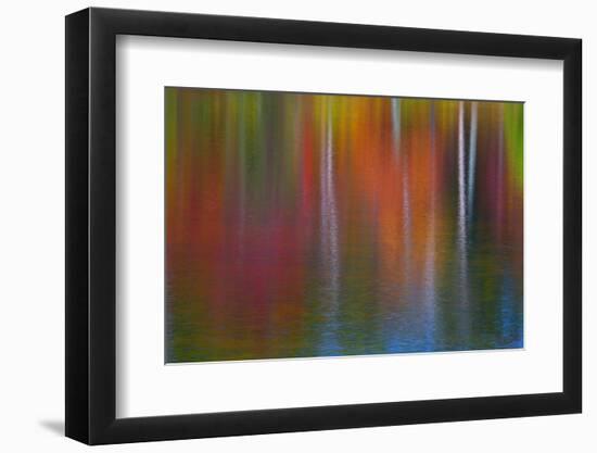 Surface of the water-Mallorie Ostrowitz-Framed Photographic Print