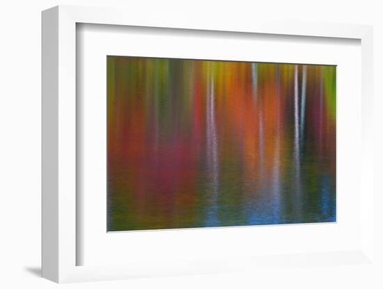 Surface of the water-Mallorie Ostrowitz-Framed Photographic Print