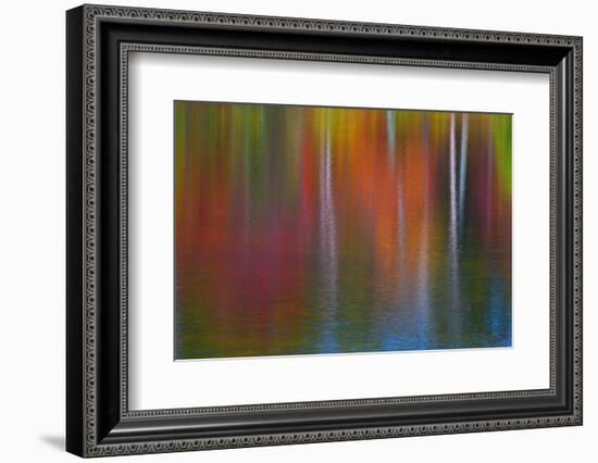 Surface of the water-Mallorie Ostrowitz-Framed Photographic Print